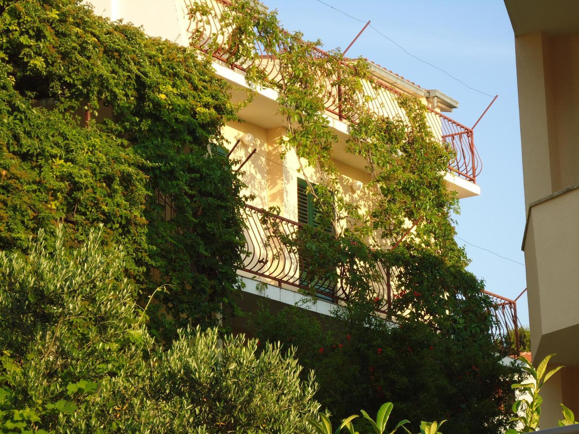 Apartments Bride'S Rock Baška Voda Kültér fotó
